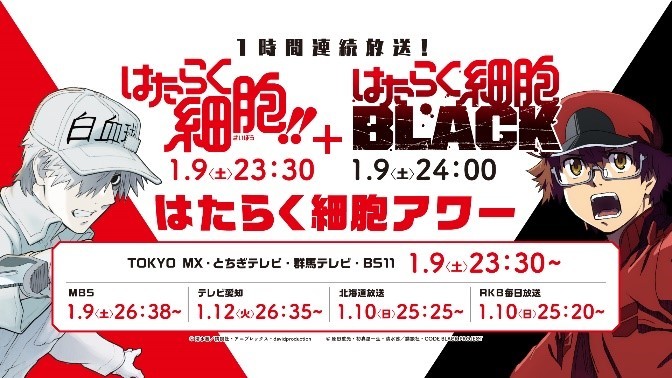 TVアニメ『はたらく細胞BLACK』第2弾PV公開 詳細情報も解禁 
